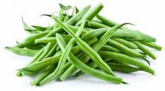 Beans- Green