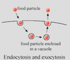 -Endocytosis moved materials into a cell, exocytosis moves materials out of a cell.
-Osmosis is diffusion from high to low pressure
