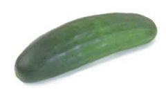 Cucumber - Field