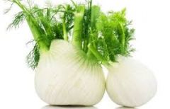 Fennel - Anise