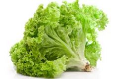 Lettuce - Green Leaf