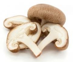 Mushroom - brown
