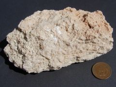 Chemical 

Features: Can be scratched by fingernail 

Environment of Deposition: same as halite