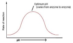 Explain this graph 

are pH reactions reversable? why? why not?