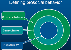 behavior that is not just focused on the own well-being, but also on other people's well-being