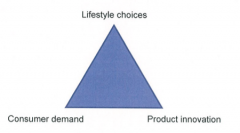 Analyze and discuss the relationship between lifestyle choices,consumer demand and product innovation, as shown in the diagram
