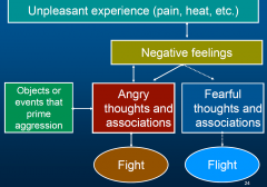 negative situation leads to negative feelings more negatively, and interpret things even more negatively.
