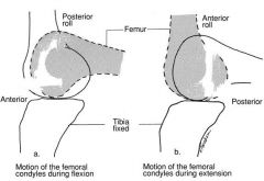 one joint surface is rolling on another joint surface


-ex: between the femoral and the tibial articular surfaces of the knee