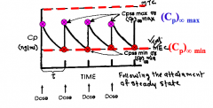 Plasma Concentration vs. Time Profile of Identical Dose and Identical Dosing Interval as IV Bolus -- At Steady State