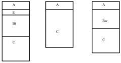 The three soil profiles drawn below make up a chronosequence. Select the answer which orders the three profiles from youngest to oldest (i.e. 1, 2, 3 or 3, 2, 1, etc.).