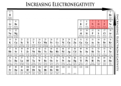 elements that an _____ would touch to be ____ Bonding
