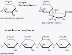 Carbohydrates
Monosaccharides - such as glucose are the basic carbohydrates. They join together to make more complex disaccharides and polysaccharides