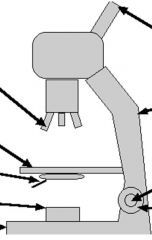 Compound Microscope:  

Where is and which function has the ARM?