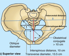 intercrestal distance
interspinous distance (iliac spines)
interspinous distance (ischius spines)
oblique diameter
transverse diameter
obstetrical conjugate (>10cm)