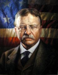   Theodore Roosevelt  