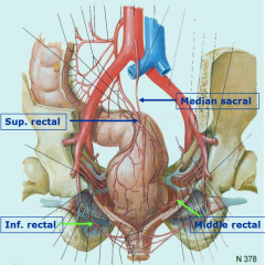 superior rectal artery (from inferior mesenteric)
middle rectal artery (from internal iliac)
inferior rectal artery (from internal pudendal)
median sacral artery (from aorta)