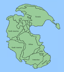 The land was called Pangaea, and the sea was called Panthalassa.