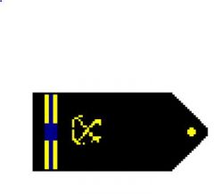 Two thin gold stripes with one blue break outboard a specialty insignia