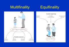 Multifinality: lignende oplevelser leder til forskellige udfald. 


Equifinality: forskellige faktorer leder til lignende udfald.
