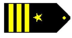 Three gold 1/2-inch stripes outboard a five pointed gold star