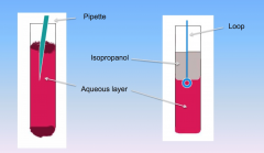 DNA is in the aqueous layer ( extract at bottom of isopropanol and top of aqueous layer with loop)

Alcohol is in the isopropanol layer