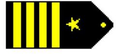 Four gold 1/2-inch stripes outboard a five pointed gold star
