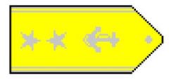 Gold shoulder boards with two silver five pointed stars outboard a silver fouled anchor