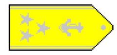 Gold shoulder boards with three silver five pointed stars outboard a silver fouled anchor
