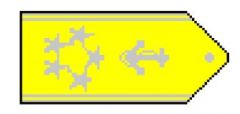 Gold shoulder boards with five silver five pointed stars outboard a silver fouled anchor