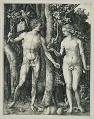 Adam and Eve - Albrecht Durer