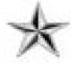 One silver five pointed star
