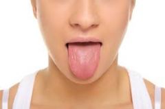 
舌