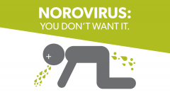 no capsule

ssRNA +linear 

icohedral

Norovirus 
-->gastroenteritis