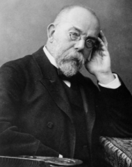 Robert Koch