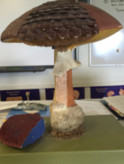 Mushroom Structures (model)