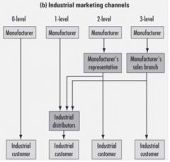 Sets of interdependent organizations involved in the process of making a product or service available for use or consumption.