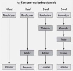 What are Marketing Channels?