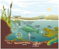 all organisms within a community as well as all biotic and abiotic factors with which they  interact