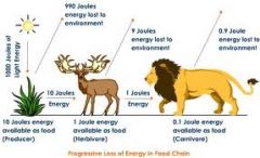 energy transfers/transformations are not completely efficient – 
some energy will be lost as heat