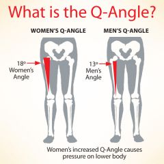 Measurement of angle between the QUADRICEPS muscle and the PATELLAR TENDON


– Normal is 13° for men and 18° for women


-Angles < or > normal may be indicative of knee dysfunction and/or biomechanical dysfunction in the lower limb