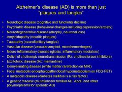 Alzheimers is so much more than just "plaques and tangles". What are the top 3 risk factors for Alzheimers.... why? Which genetic factor could be impoertant?