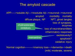 loss of neurotransmitters and excitotoxicity?