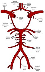 PICA: From the vertebral artery prior to the origin of the anterior spinal arteries

AICA: Proximal basilar artery

SCA: Distal basilar artery just prior to the origin of the posterior cerebral arteries

image09