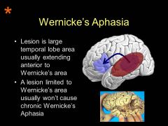 Where would you see problems for wernikes aphasia on the Lichtheim model? What part would be messed up? Why?