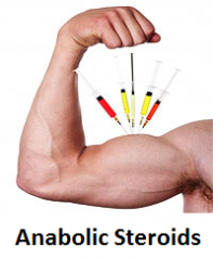 Anabolic Steroids 