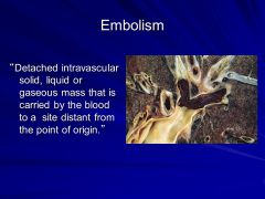 The 5 different types of embolisims: Thromboembolisim--> pulmonary embolus, systemic thromboembolisim, air, fat, amniotic fluid. Which ones are the scariest? What are the complications of each? What is most common? Which one can happen with SEVE...