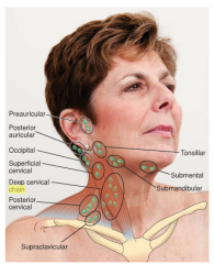Palpate the deep cervical chain nodes deeply within and around the sternomastoid muscle. (287)