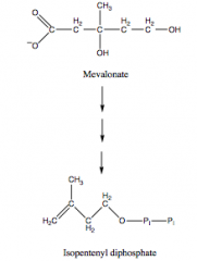 a.	Sequential phosphorylation by 3 kinases
b.	Decarboxylation
