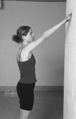 Self-Assistance

Wall climbing for shoulder elevation