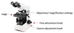   used to fine-tune the focus of your specimen after using the coarse adjustment knob.     